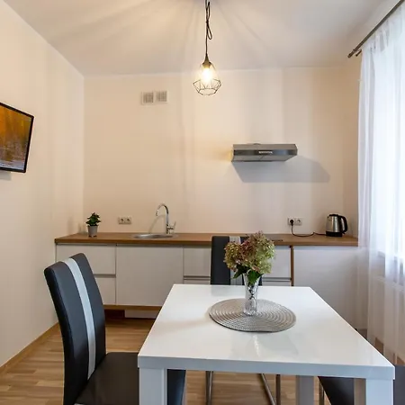Violetos Lux Apartamentai2 Druskininkai Exterior photo