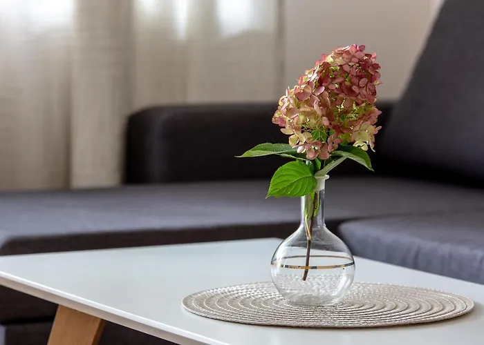 Violetos Lux Apartamentai2