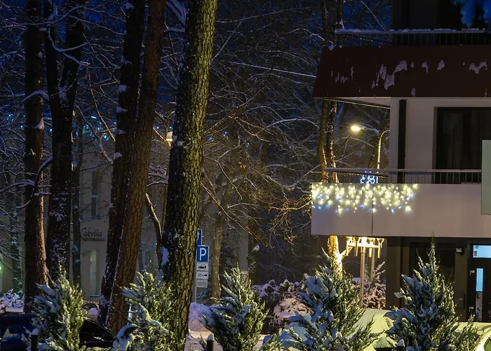Violetos Lux Apartamentai2