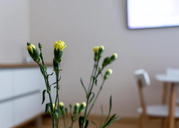 Violetos Lux Apartamentai2