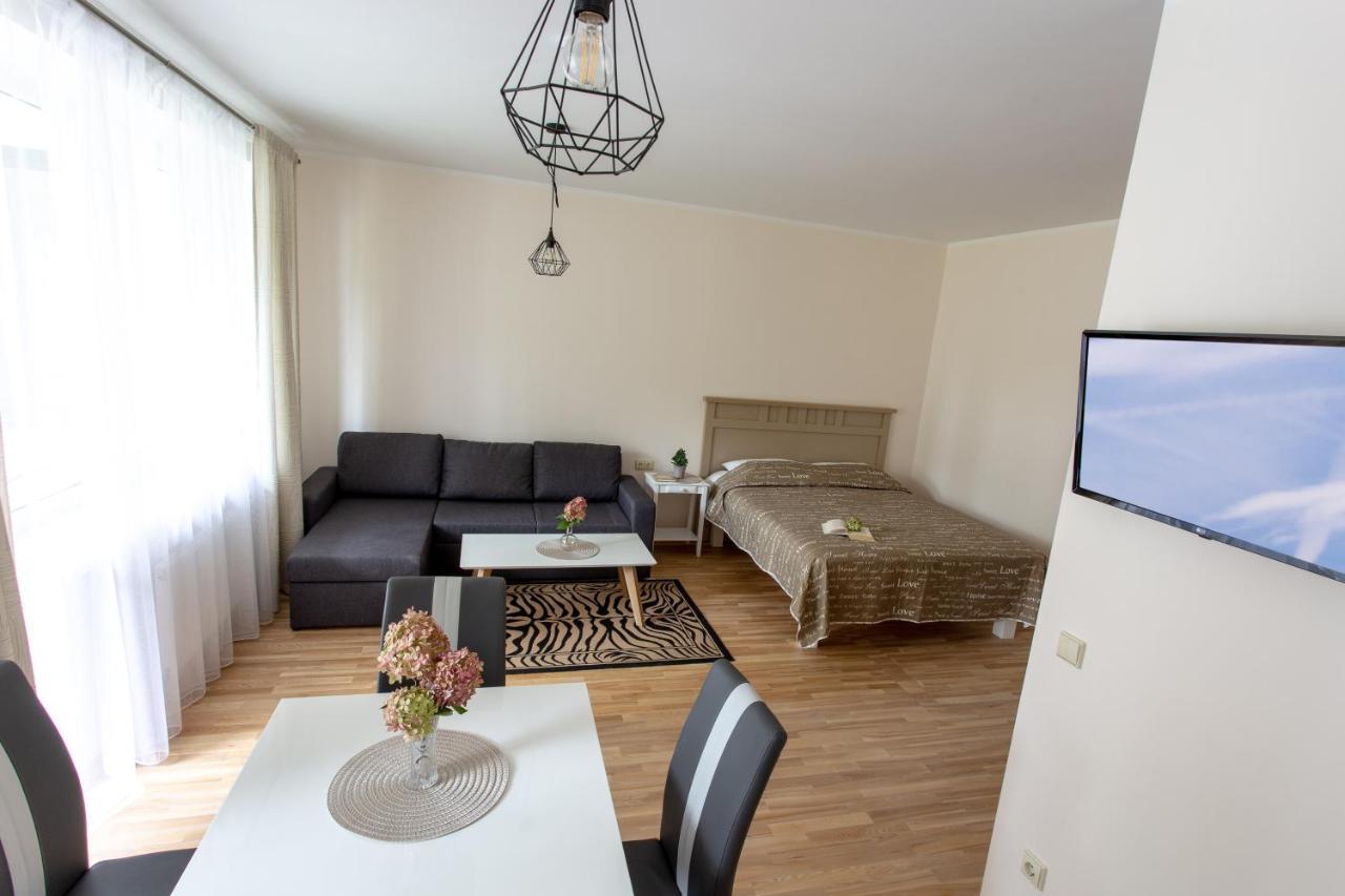 Violetos Lux Apartamentai2 Druskininkai