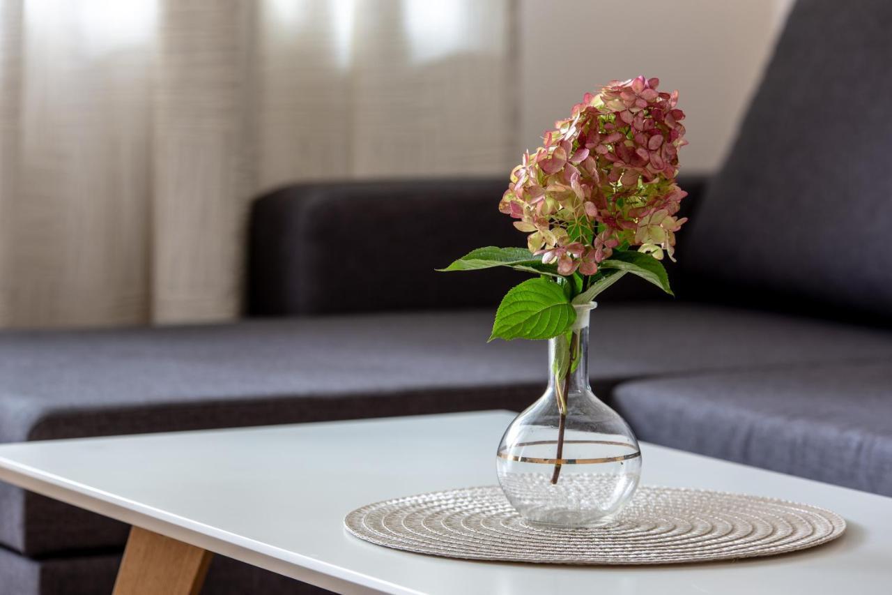 Violetos Lux Apartamentai2 *