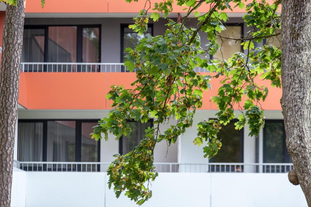 Violetos Lux Apartamentai2 Druskininkai