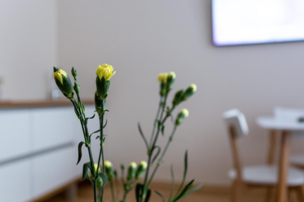 Violetos Lux Apartamentai2 Druskininkai